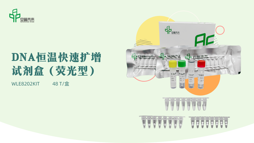 DNA 恒温快速扩增试剂盒（荧光型）