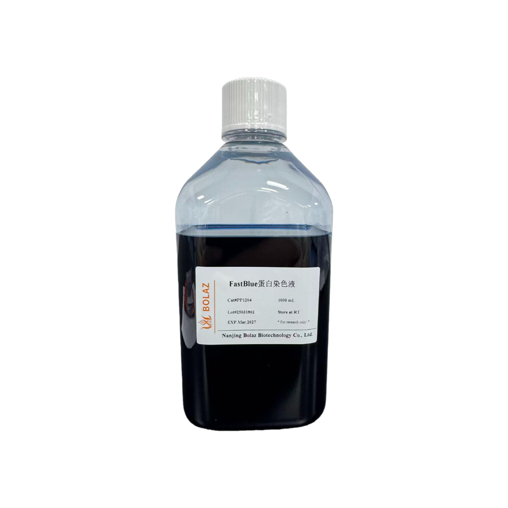 FastBlue蛋白染色液
