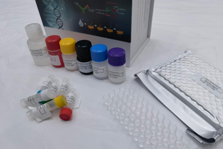 人角鲨烯单加氧酶(SQLE)ELISA试剂盒