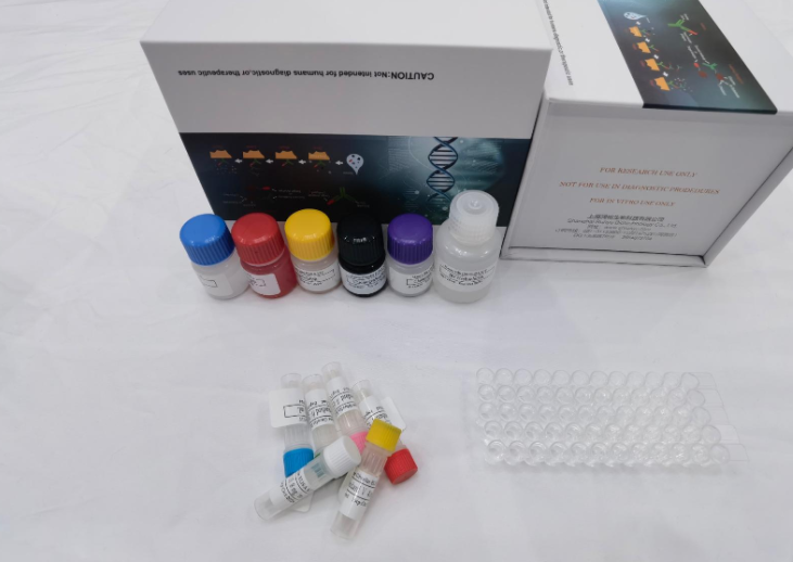 人视黄醇结合蛋白4(RBP-4)ELISA试剂盒