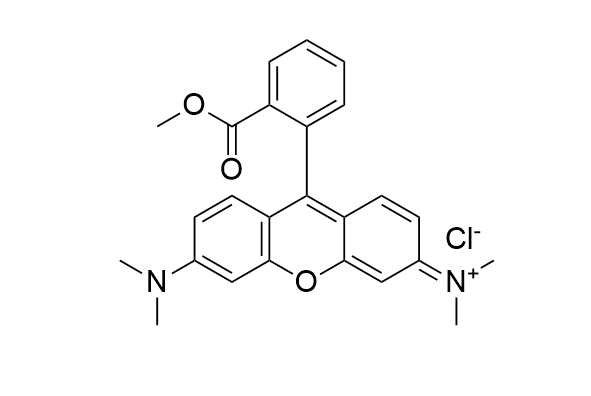 新上四甲基罗丹明甲酯 产品