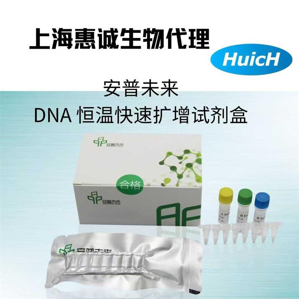 RNA 恒温快速扩增试剂盒（荧光型）