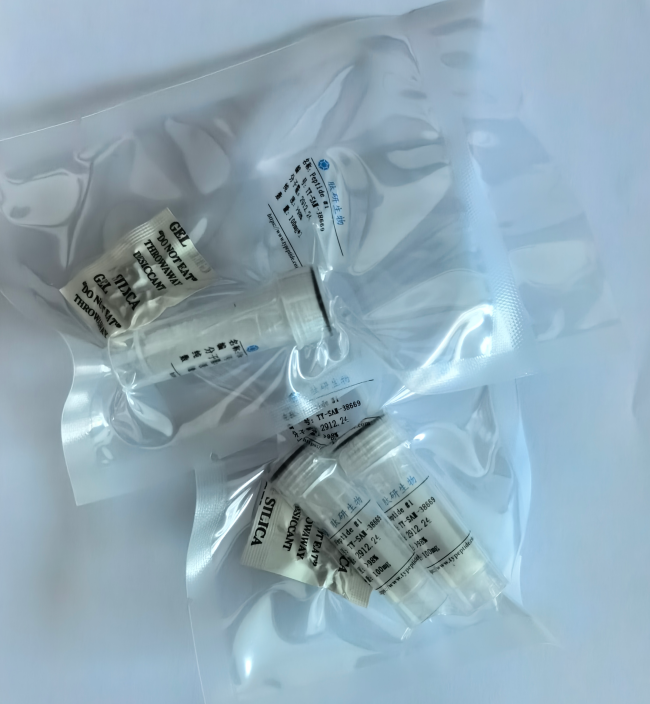 限制性多肽Glycoprotein (276-286)/160543-97-5/Glycoprotein (276-286)