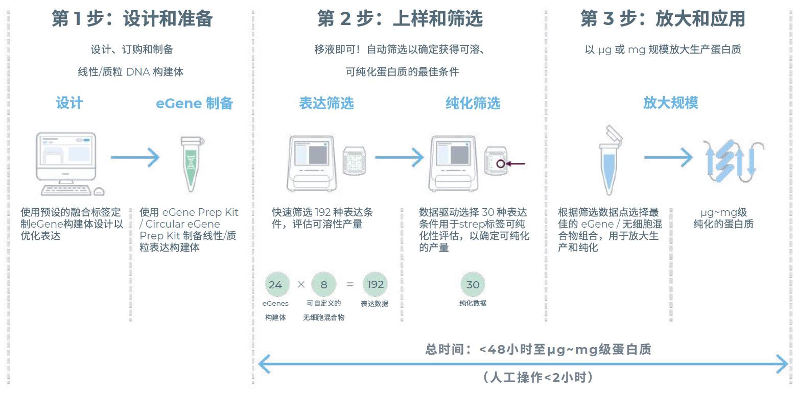无细胞蛋白合成系统工作流程 无细胞蛋白合成系统工作流程