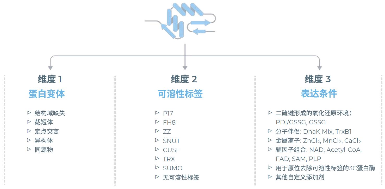 无细胞蛋白表达系统可同时探索多种表达组合 无细胞蛋白表达系统可同时探索多种表达组合