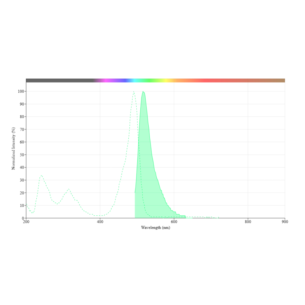ReadiCleave iFluor 488 AML-琥珀酰亚胺酯，ReadiCleave iFluor 488 AML-NHS ester