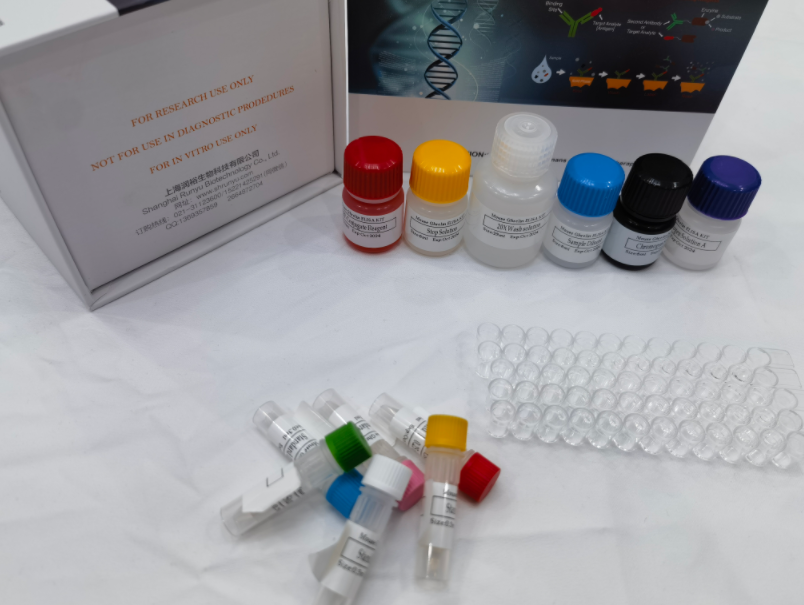 人血管生成素样蛋白2(ANGPTL2)ELISA试剂盒