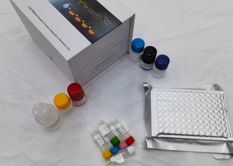 人血管抑素(angiostatin)ELISA试剂盒