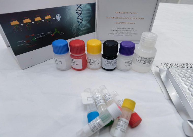 人血管内皮生长因子C(VEGF-C)ELISA试剂盒