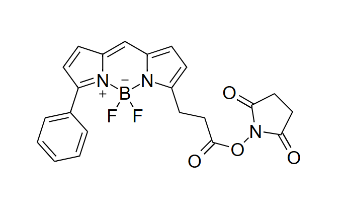 Bodi Fluor R6G NHS酯，Bodi Fluor R6G NHS ester，Bodi Fluor R6G SE，Bodi Fluor R6G succinimidyl ester