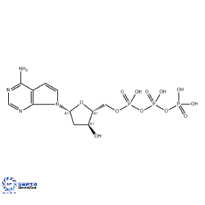 67460-15-5 | 7-Deaza-dATP ; 7-Deaza-2'-deoxyadenosine-5'-triphosphate, Sodium salt ; 7-Deaza-2′-脱氧腺苷 5′-三磷酸锂盐