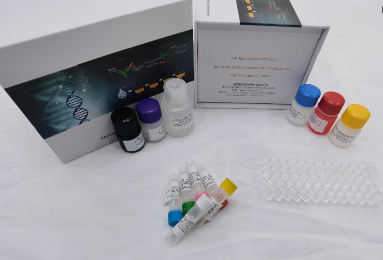 人心肌钙黏蛋白(CDHH)ELISA试剂盒