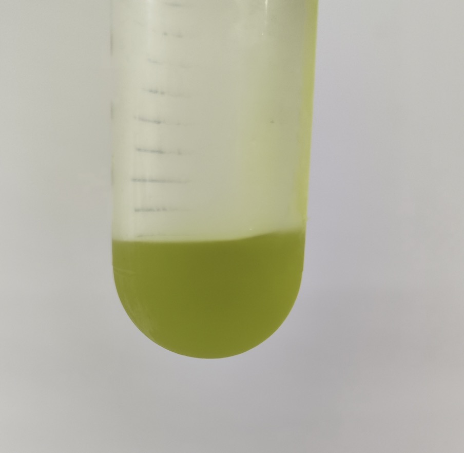 L-苯基乙酰基甲醇