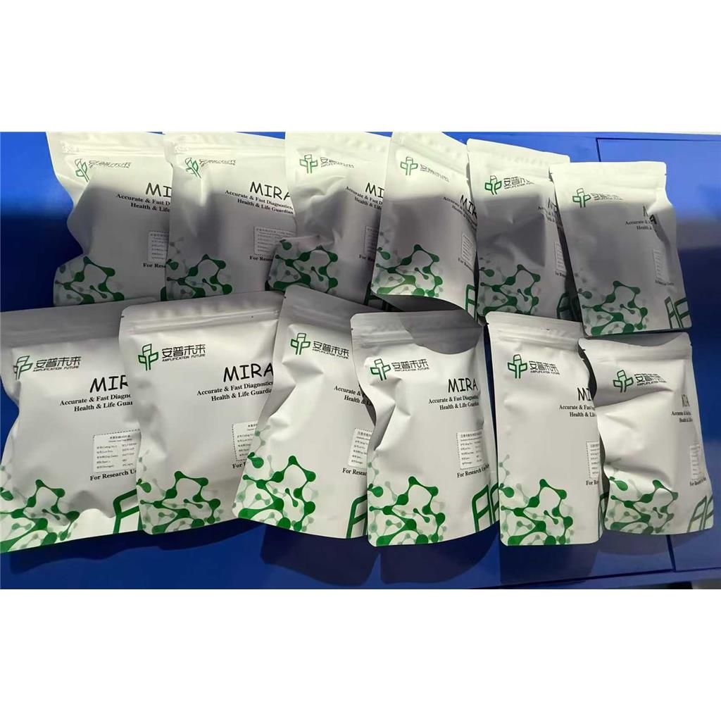 RNA 恒温快速扩增试剂盒（荧光型）-II