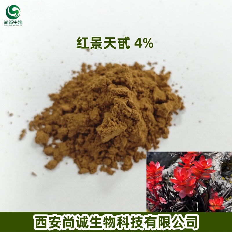 红景天提取物 红景天甙 尚诚生物