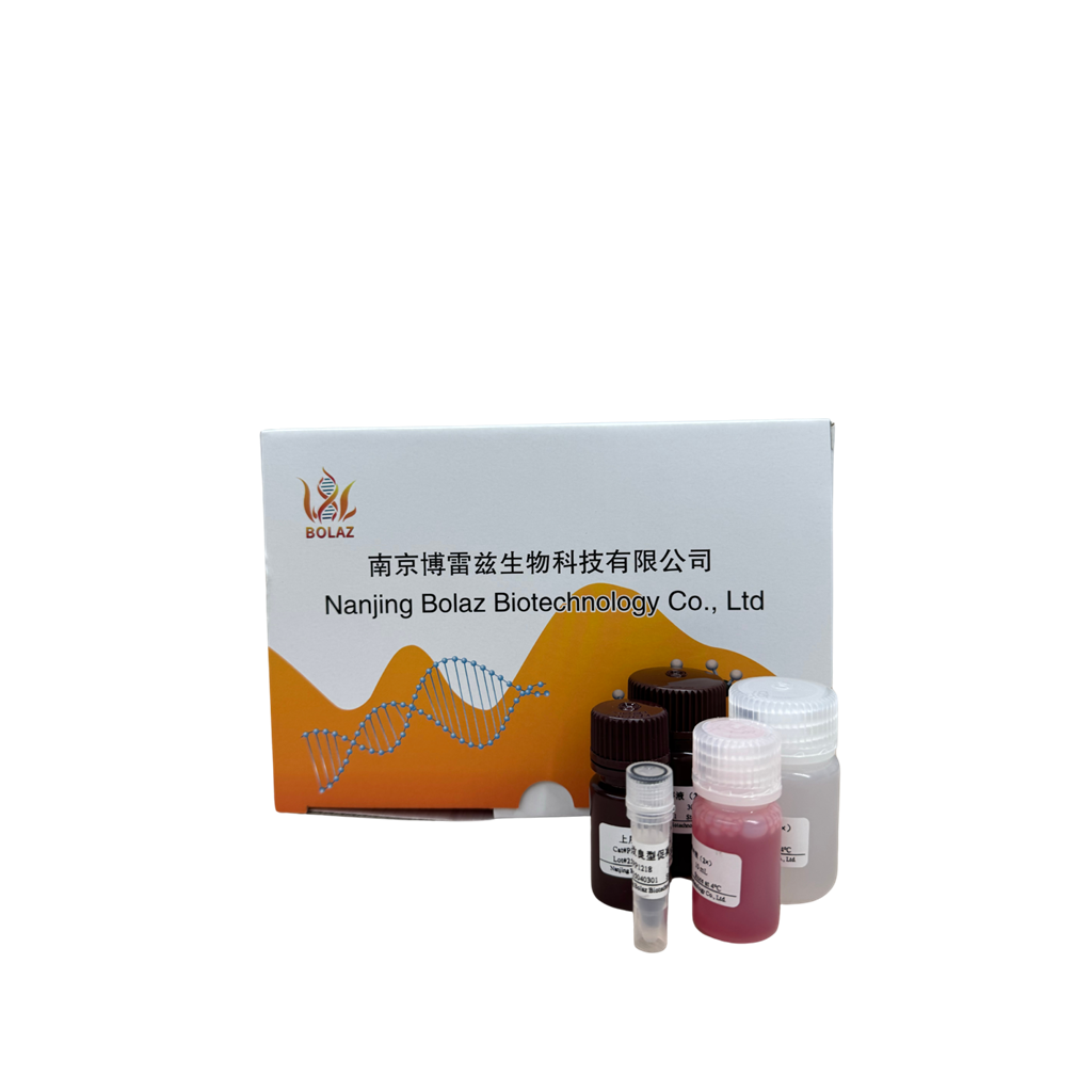 一步法 PAGE 凝胶快速制备试剂盒(12%)