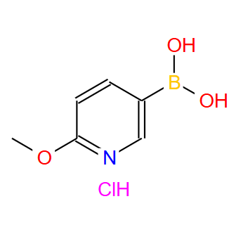 370864-57-6；2-甲氧基-5-吡啶硼酸盐酸盐；2-Methoxy-5-pyridineboronic acid hydrochloride