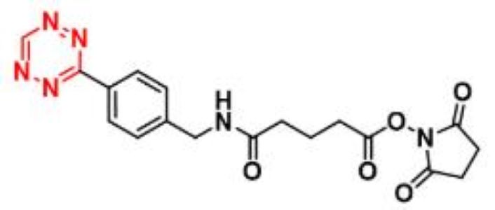 1244040-64-9，Tetrazine-Ph-NHCO-C3-NHS ester，四嗪-苯基-酰胺-丙基-N-羟基琥珀酰亚胺酯
