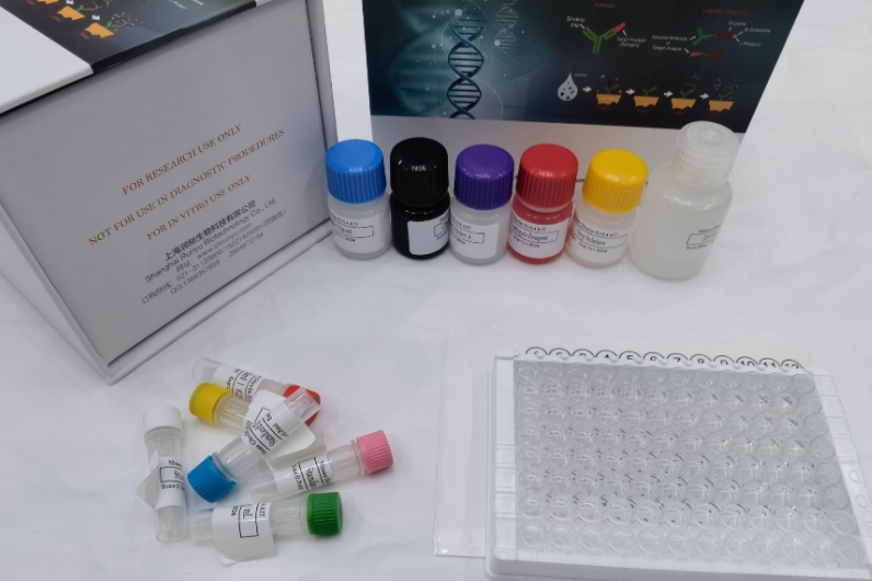 人干扰素诱导跨膜蛋白1(IFITM1)ELISA试剂盒