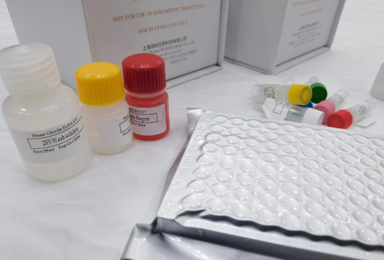 人蛋白精氨酸N-甲基转移酶5(PRMT5)ELISA试剂盒