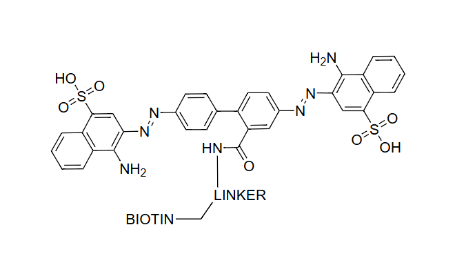 刚果红-生物素缀合物，Congo Red-Biotin，CR-Biotin