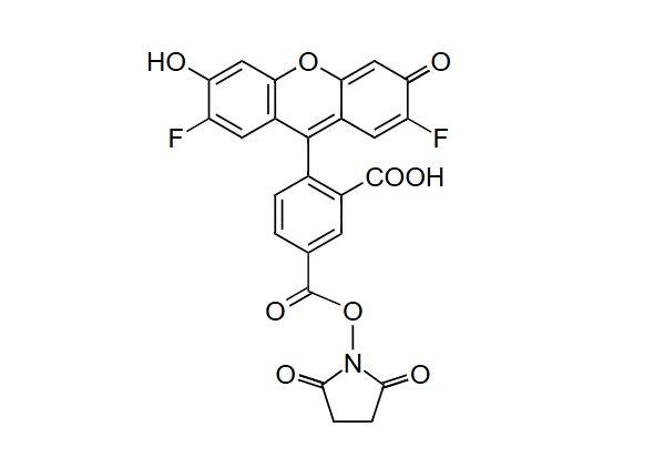 5-俄勒冈绿琥珀酰亚胺酯，5-OG488，SE，5-OG488，NHS ester