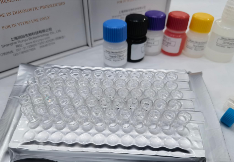 人5-羟色胺受体4(HTR4)ELISA试剂盒