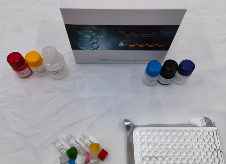 人膜联蛋白A5(ANXA5)ELISA试剂盒