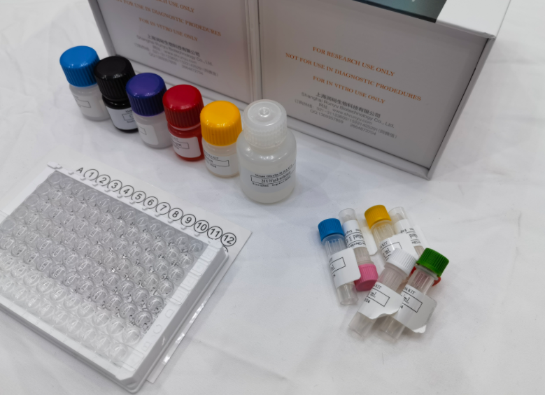 人Anoctamin6蛋白(ANO6)ELISA试剂盒