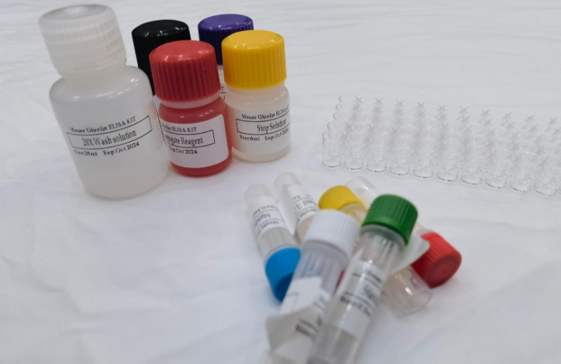 人脊髓灰质炎病毒受体(PVR)ELISA试剂盒