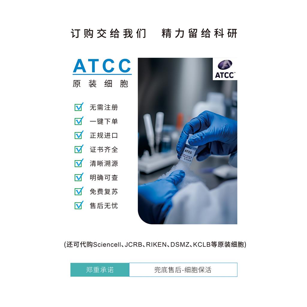 MCF7细胞（ATCC）