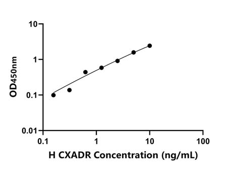 CXADR ELISA KIT / 人柯萨奇病毒腺病毒受体 ELISA试剂盒
