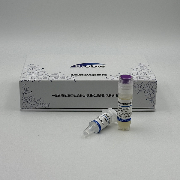 Flavobacterium Dongtanense