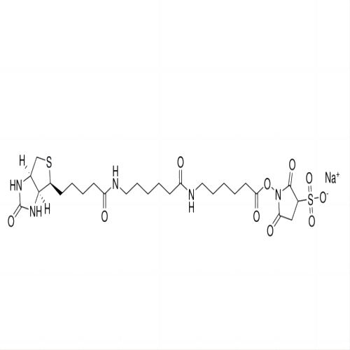 aladdin 阿拉丁 A638783 Aladdin? Sulfo NHS-LC-LC-Biotin 194041-66-2 ≥95%