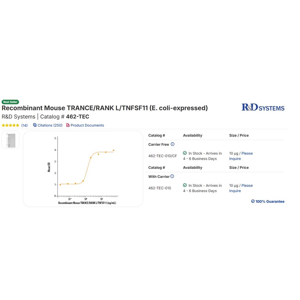 重组小鼠 TRANCE/RANKL/TNFSF11 蛋白（大肠杆菌表达）Recombinant Mouse TRANCE/RANK L/TNFSF11 (E. coli-expressed) R&D Systems | Catalog # 462-TEC