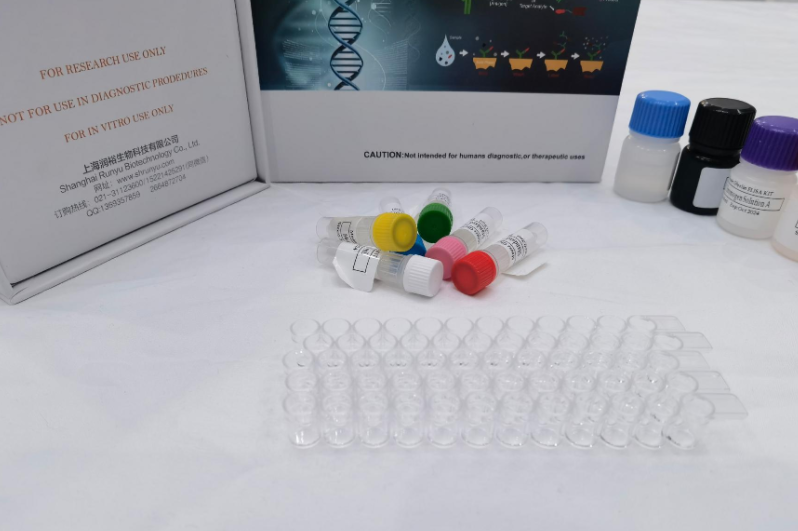 人组蛋白去乙酰化酶8(HDAC8)ELISA试剂盒