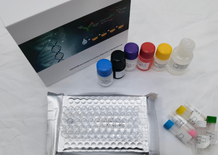 人组蛋白去乙酰化酶4(HDAC4)ELISA试剂盒