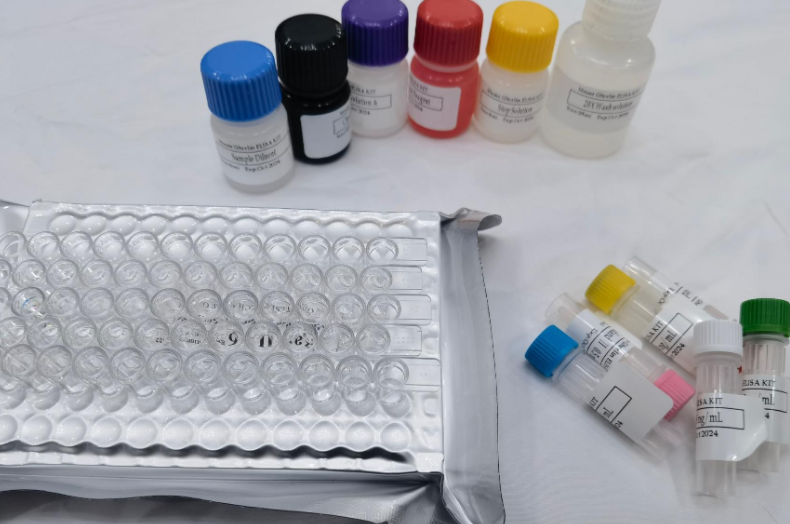 人组蛋白去乙酰化酶4(HDAC4)ELISA试剂盒