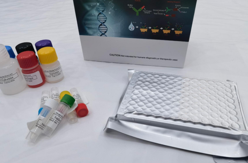 人UDP葡萄糖醛酸转移酶2家族多肽B7(UGT2B7)ELISA试剂盒