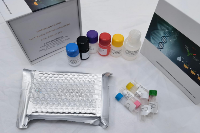 人组蛋白去乙酰化酶1(HDAC1)ELISA试剂盒