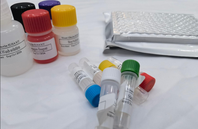 人组蛋白去乙酰化酶11(HDAC11)ELISA试剂盒