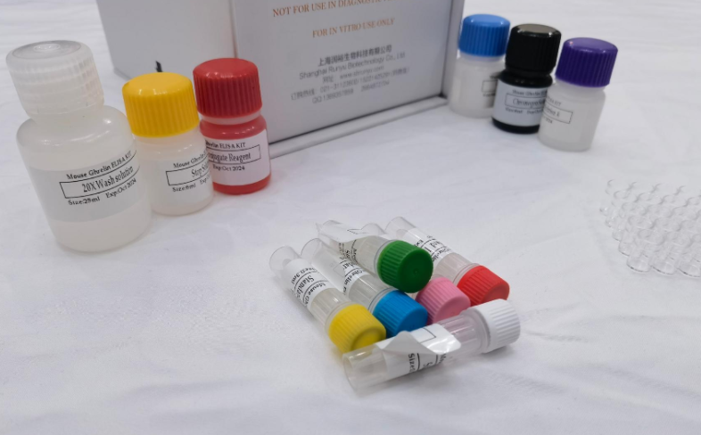 人β-1,4-N-乙酰半乳糖胺基转移酶2(b4GALNT2)ELISA试剂盒