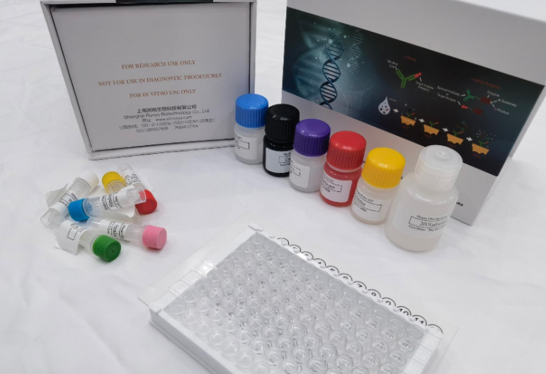 人粘蛋白5AC(MUC5AC)ELISA试剂盒