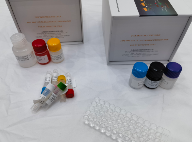 人γ-谷氨酰转移酶1(gGT1)ELISA试剂盒