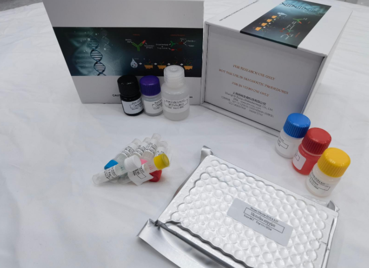 人运动因子相关蛋白1(MRP1)ELISA试剂盒