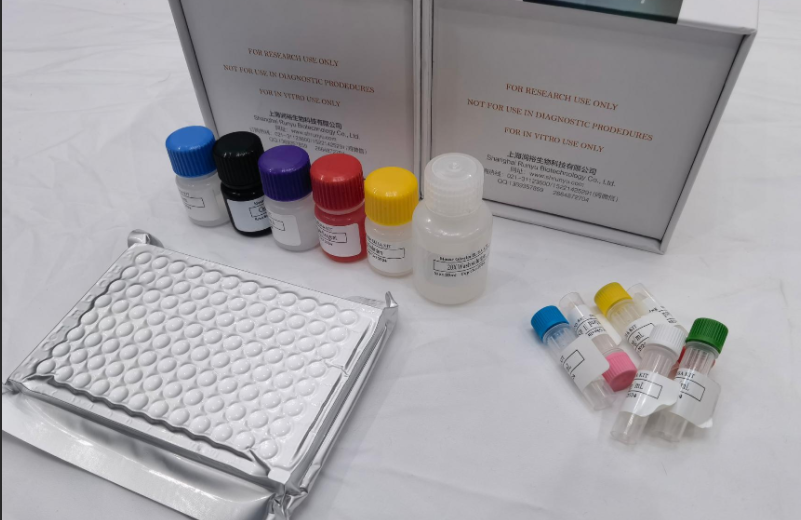 人白细胞共同抗原(LCA;CD45；PTPRC)ELISA试剂盒