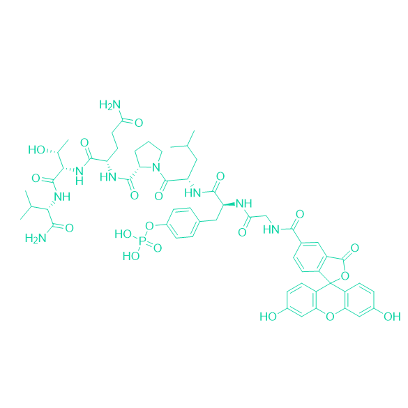 荧光肽5-FAM-GpYLPQTV-NH2/769166-98-5/5-FAM-GpYLPQTV-NH2