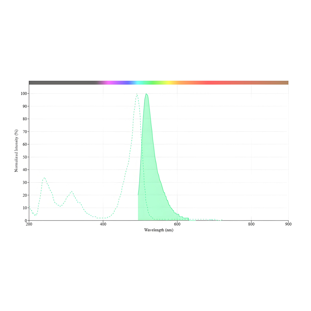 iFluor 488 四嗪，iFluor 488 Tetrazine