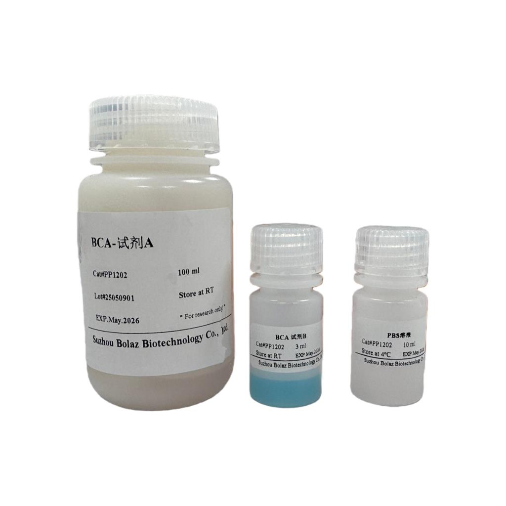 BCA 蛋白浓度测定试剂盒