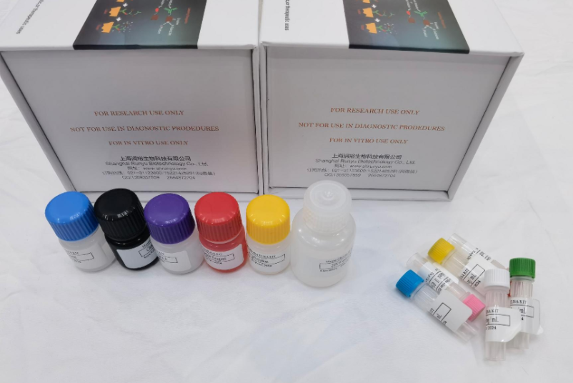 人nectin-4(nectin-4)ELISA试剂盒